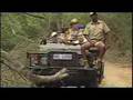Eco-Friendly Safaris