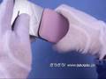 videos de GauGau iPhone 3G leather Sleeve case Elee