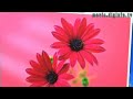 NEC is Monitoring Colors : DigInfo