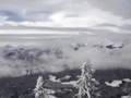 07.01.21 Lookout.Elkford