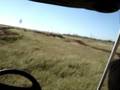 Hardcore Funny Golf-Cart Driving