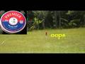 Gamo-Whisper-Backyar