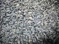 High Magnesium Foods (Slideshow)