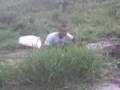 Os boia fria.3gp