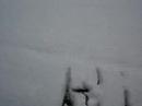 Snow Snow