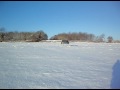 bobby,badger+rocky in the snow ♥