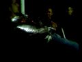 ptite soiree tranquille a st max avec toute la clic