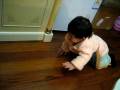 Peanut is crawling!