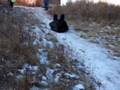 videos de dwight snowboard