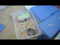 How to Set-up and Clean a Snake Bin