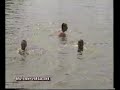 Middelstum 1994 Middelstum 1994