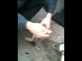 Man vs DSM fuel punp