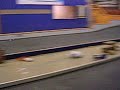 Search Video