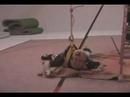 Onimusha 2_ making 9