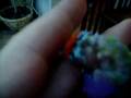 videos de Head Twirling Gouldian 2