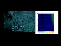 Sulfide worm environment temperature array probe