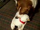 milo and the aflack duck