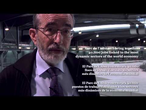 Dr. Ram�n Pascual (Sincotr� Alba Director)