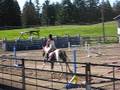 videos de christa Byrd & Zanda 3ft jumper