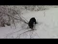 http://www.ksinternet.com/ih6r .Richie playing in the snow