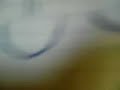ESTAS CON EL SOFFRITTI?