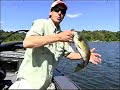 Toppin Smallmouth Bass