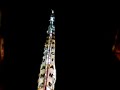 Giglio Giovent� Bruscianese 2007