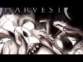 Shaman's Harvest Shine Video and Lyrics