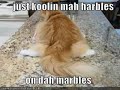 I Bet You Cant Watch This Without Laughing
