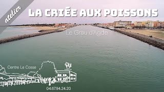 La criée aux poissons