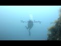 Indonesia Video