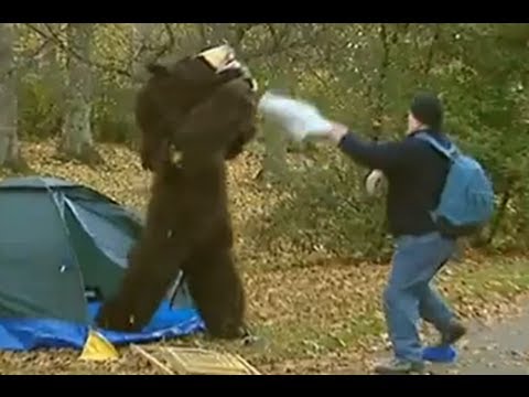 Bear Attack Prank