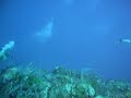 Caribbean Diving St. Vincent and the Grenadines Caribbean Diving St. Vincent and the Grenadines