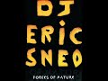 Eric Sneo - Forces of Nature (Lords of Octagon Remix)