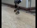 How to Ollie onto Rails/Blocks/Ledges [TUTORIAL]