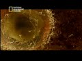 Vida No Ventre - Mam�feros 1.2 - NatGeo