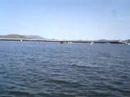 Team in Training: Swimming in the Bay part 2
