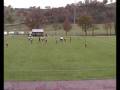 videos de Pietralunghese - Fratticiola 3 - 1