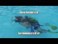Bapteme de plongee au Camping Esterel Caravaning