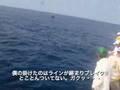 久米島釣行記2007.7.22パヤオ編