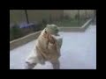 Felipe es Leonidas en a�o nuevo