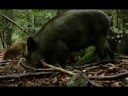 Rete-Natura-2000-nel