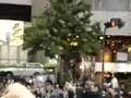 20050525 琴欧洲 優勝パレード