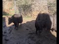 Visita a Cabárceno Visita a Cabárceno