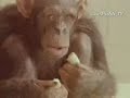 Un video super tierno!!!!!!