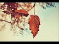 Maroon 5 - Sweetest Maroon 5 - Sweetest