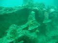Monterey Bay Dive Monterey Bay Dive