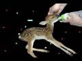 videos de OCAD 