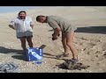 First meteorite find