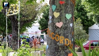 2ª edição da iniciativa"Renda-se aos Encantos da Lameira" na aldeia de Açores